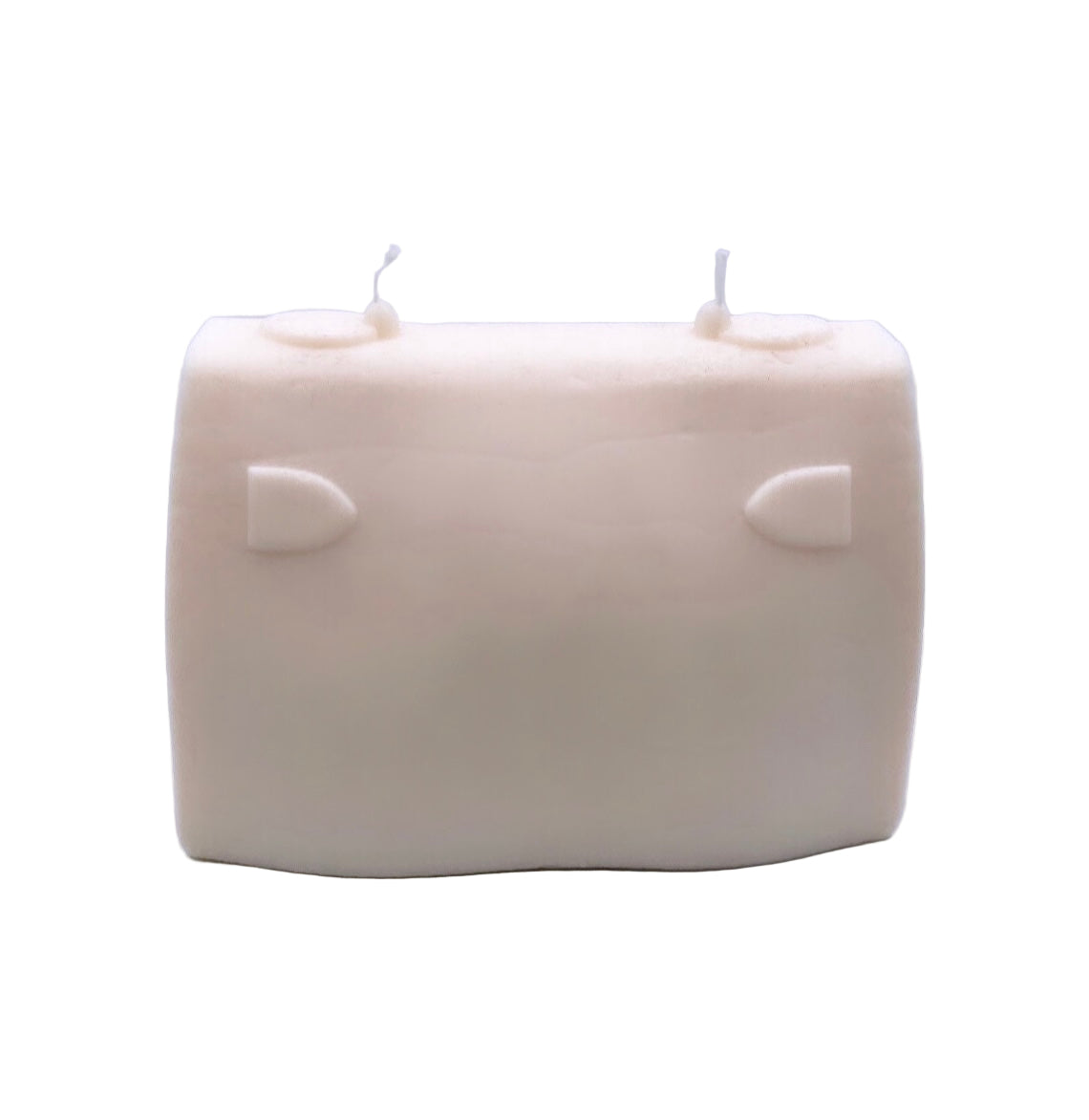 Designer Aesthetic Everything Bag Scented Soy Candle