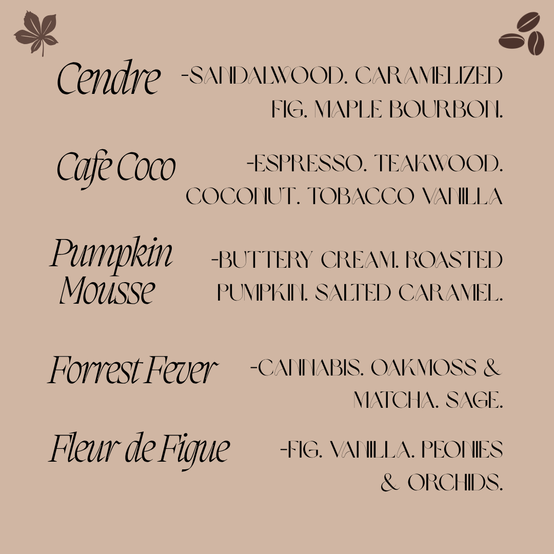 Body Wax Melt | Snap Bar | The Fall Collection